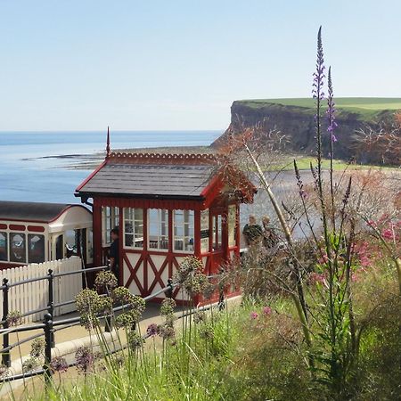 Saltburn Holidays Jasmine Cottage Saltburn Saltburn-by-the-Sea Exterior foto